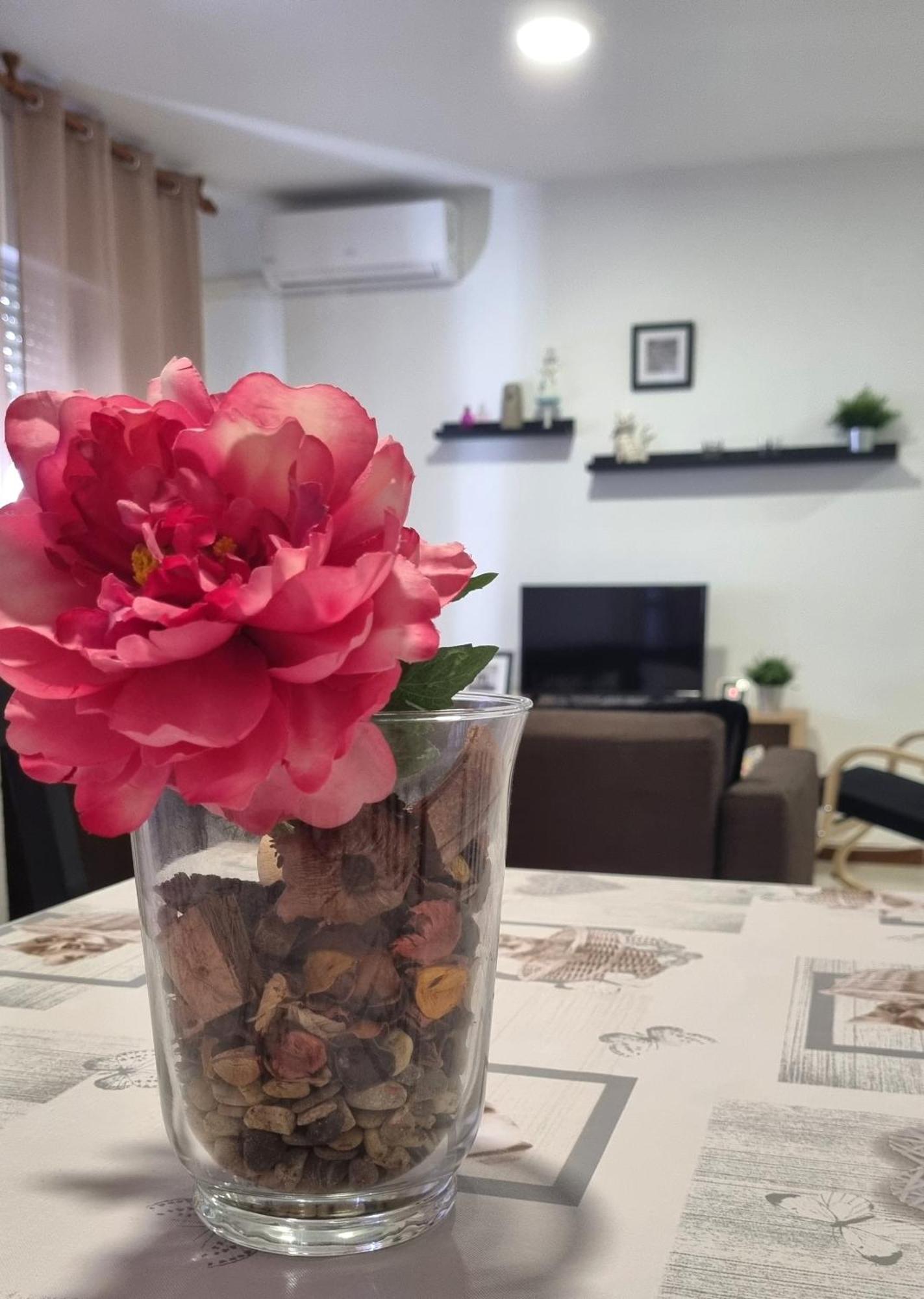 Apartamento Cayetano Rota Εξωτερικό φωτογραφία